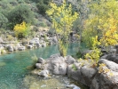 PICTURES/Fossil Springs/t_Fossil Creek11.JPG